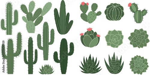 Collection of 20 Vector Cactus and Succulent Illustrations with Various Shapes and Styles for Botanical, Desert, and Nature Designs