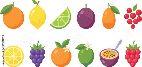 Fruit Icon Collection with Orange, Lemon, Lime, Plum, Apricot, Grapes, Passion Fruit, and Berries for Fresh Food, Healthy Nutrition, and Juice Design