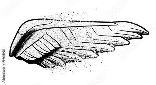 A compact folded wing shadow dissolving into grain near the edges, tightly framed and abstract, monochrome halftone illustration, visible print dots, editorial