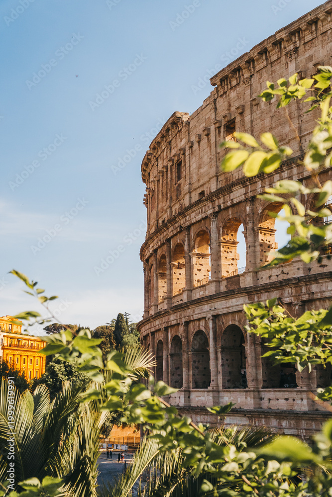 Obraz premium Colosseum Exterior Seen Through Lush Tropical Foreground Foliage at Golden Hour, Rome Italy