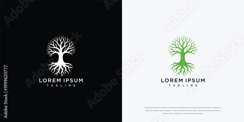 Tree Of Life Logo Design