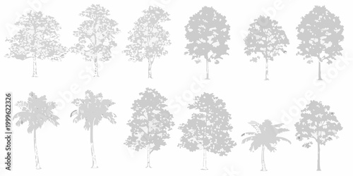 Tree silhouettes collection ten variants on white background