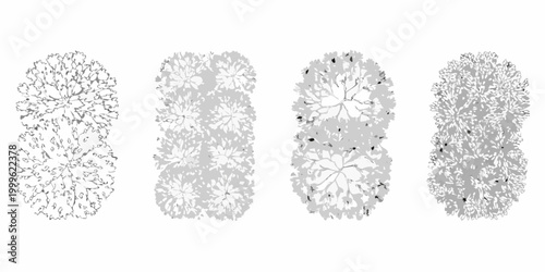 Shrub canopy collection four variations vector illustration white background