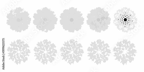 Tree canopy silhouettes six variations on white background