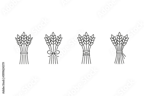Wheat Stalk Bundles Line Art