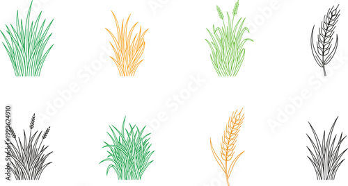 Vector illustration of grass and wheat plants in different colors and forms in decorative design