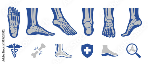 Human Foot X-ray Anatomy Icons Set for Orthopedic Medical Diagnosis and Podiatry Analysis Featuring Skeletal Bone Structure Projections and Healthcare Symbols for Clinical Reports and Patient Educatio
