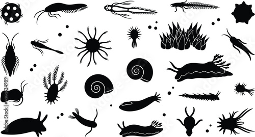 Vector illustration of microscopic aquatic organisms including plankton, protozoa and algae in decorative design