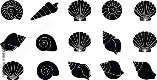 Vector illustration of seashells in diverse spiral, conch and scallop designs with decorative styles in decorative design
