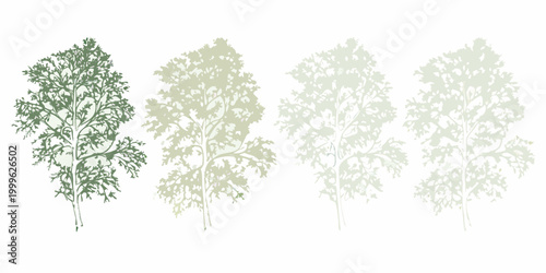 Tree canopy silhouettes in four color variations isolated on white