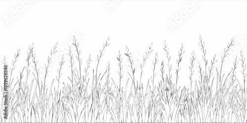 Grass blades line art seamless horizon with sketched foliage