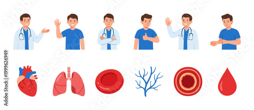 Doctor character and human organ icons set for medical infographic. Set of friendly physician poses and anatomical biology elements including heart, lungs, red blood cell, and vein, flat vector art.