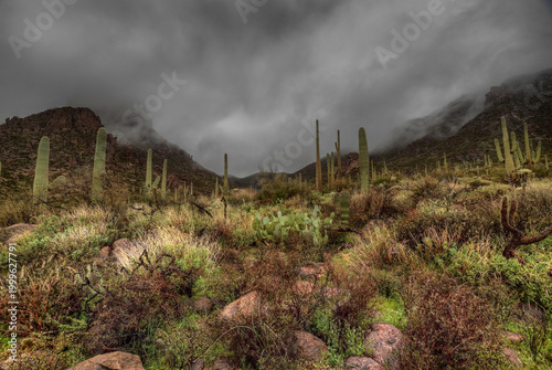 Obraz na plátně Superstition Mountain hike on a gloomy day