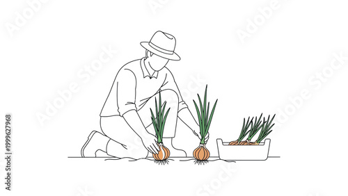 Man planting onion in the ground.