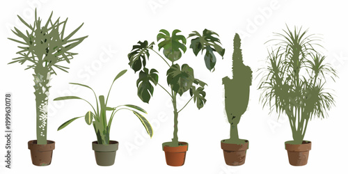 Potted houseplants collection six variants in terracotta pots isolated on white