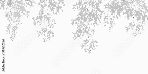 Shrub silhouettes four variations on a white background