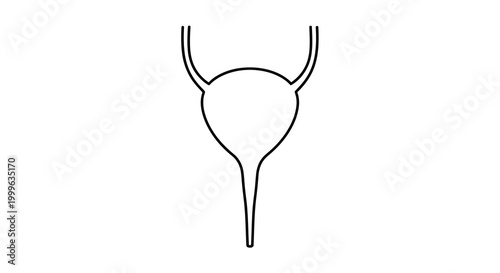 Uterus line drawing simple black and white illustration