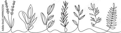 Single one line drawing plants and herbs concept. Continuous line draw design graphic vector illustration. one line Icon drawing