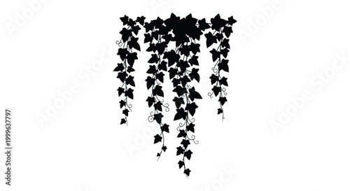 Cascading ivy plant silhouette against a white background detailed foliage and tendrils silhouette high quality professional modern elegant stylish clean crisp