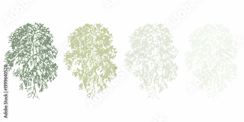 Tree canopy silhouettes in four color variations isolated on white