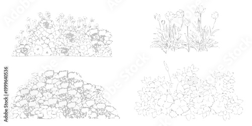 Floral arrangements line art set four botanical sketches on white background