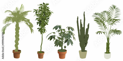 Potted houseplants collection six variations on white background