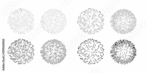 Shrub canopy collection four variations vector illustration white background