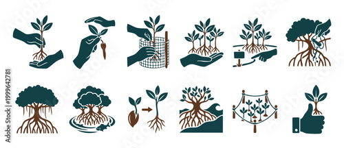 Mangrove Reforestation Icon Set: Planting, Seedlings, and Coastal Conservation Steps for Climate Change Mitigation, Sustainable Environment Protection, and Ecosystem Restoration Vector Graphic Design