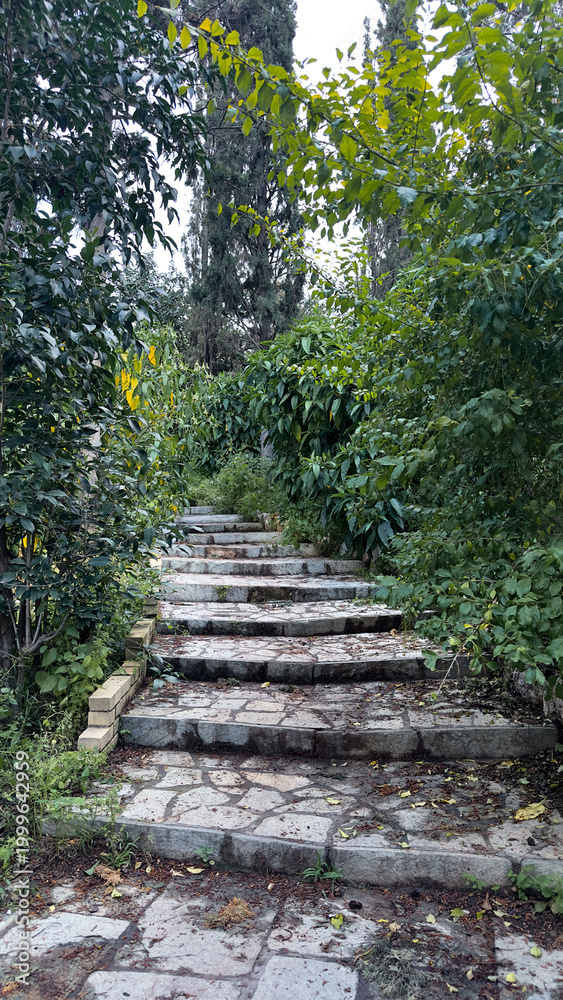 Obraz premium Tranquil Stone Stairway in a Secluded Lush Secret Garden with Copy Space. This enchanting stairway offers a sense of tranquility and discovery, perfect for wellness, travel, or nature-themed projects.