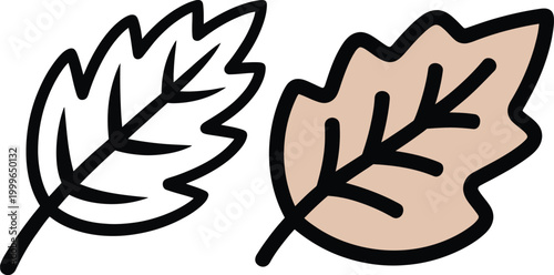 Two stylized oak leaves one outlined and one filled with color representing autumn oak leaf seasonal illustration vegetation