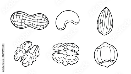 Set of black and white line drawings showing various types of nuts such as peanuts, cashews, almonds, and walnuts for culinary education themes.
