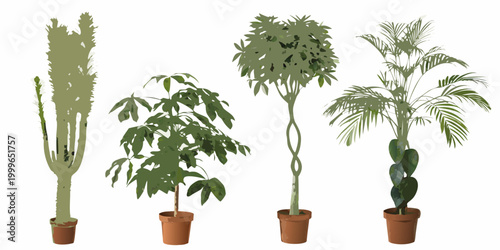 collection of potted houseplants in terracotta pots