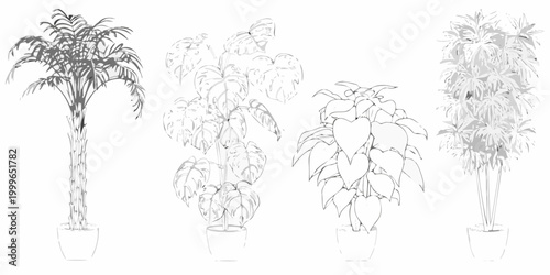 vector illustration of four potted indoor plants on white background