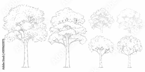 tree outlines in grayscale vector style high quality
