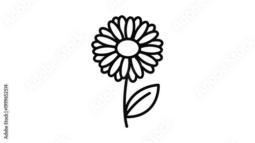Simple line art drawing of a single daisy flower with petals and a leaf on a stem for botanical and floral design projects.