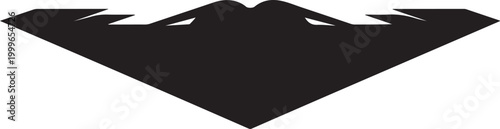B2 Stealth silhouette, balck icon silhouette vector