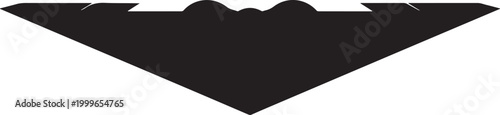 B2 Stealth silhouette, balck icon silhouette vector
