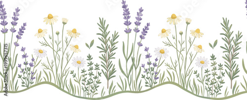 Delicate Lavender and Chamomile Flower Border Design for Wellness, Nature, and Herbal Themes