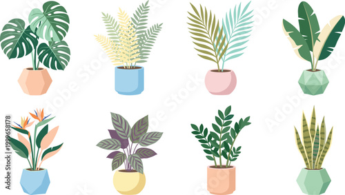 Tropical Indoor Plants Collection with Monstera, Palm Leaves, Banana Plant, and Decorative Houseplants in Pots for Home Decor and Botanical Design