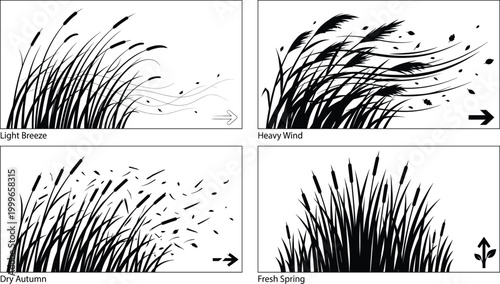 Grass Movement Illustration Set Showing Light Breeze, Heavy Wind, Autumn Scatter, and Fresh Spring Growth for Nature and Seasonal Concepts