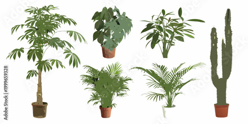 Schilderij op canvas collection of potted houseplants in various styles