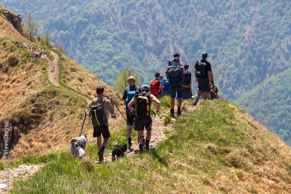 Fototapeta premium hiking in the mountains