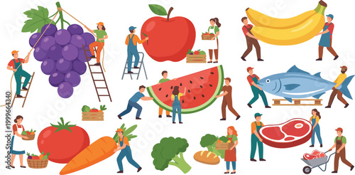Giant food vector set with tiny people harvesting and carrying massive fresh fruits vegetables and meat