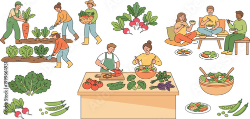 People gardening harvesting vegetables and cooking healthy organic salad meal together in a vector set