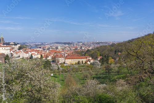 Looking over the colourful rooftops of downtown Prague on a sunny day surrounded by green grass and pink blossom trees. Prague, Czech Republic 