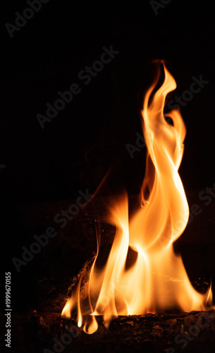 Fire flame on a dark background. Yellow tongues of fire in the fireplace. Flames concept.