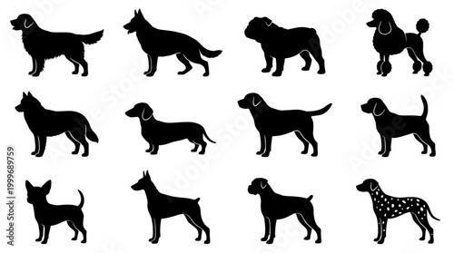 Collage of Various Dog Breed Silhouettes Illustrating Different Shapes and Sizes