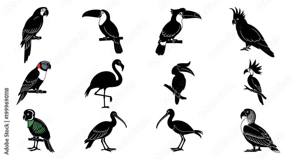 Fototapeta premium Silhouette Collection of Exotic Birds: Tropical Wildlife Vector Illustrations Set