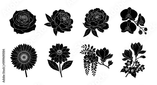 Set of eight floral silhouettes: elegant vector roses peonies orchids sunflowers and more