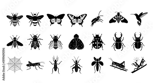 Diverse insect and bug silhouette collection nature and animal icons backdrop